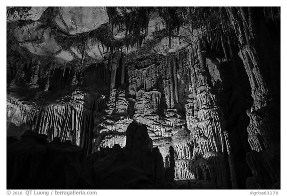 Gothic Palace Room, Lehman Cave. Great Basin National Park (black and white)