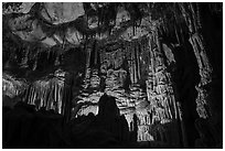 Gothic Palace Room, Lehman Cave. Great Basin National Park ( black and white)