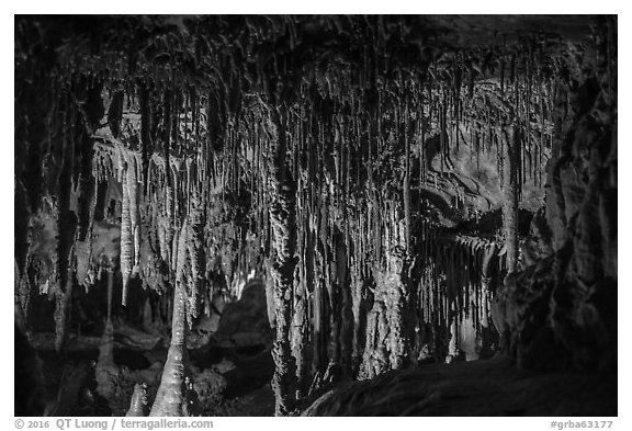 Delicate Stalactites and Stalagmites, the Swamp, Lehman Cave. Great Basin National Park (black and white)