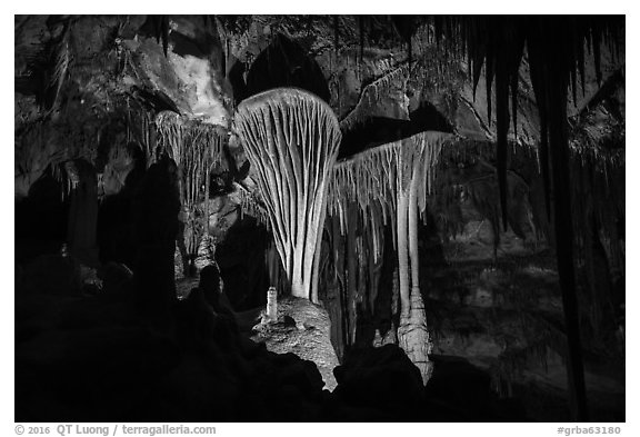 Parachute Shields in Grand Palace, Lehman Cave. Great Basin National Park (black and white)