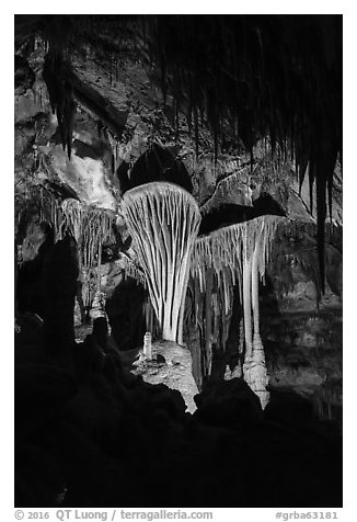 Parachute Shields, Lehman Cave. Great Basin National Park (black and white)