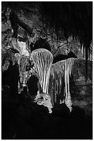 Parachute Shields, Lehman Cave. Great Basin National Park ( black and white)