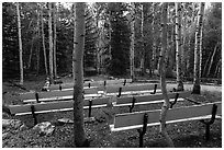 Amphitheater, Wheeler Peak Campground. Great Basin National Park ( black and white)