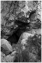 Entrance to Pictograph Cave. Great Basin National Park ( black and white)