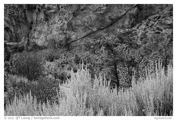 Grey Cliffs. Great Basin National Park (black and white)