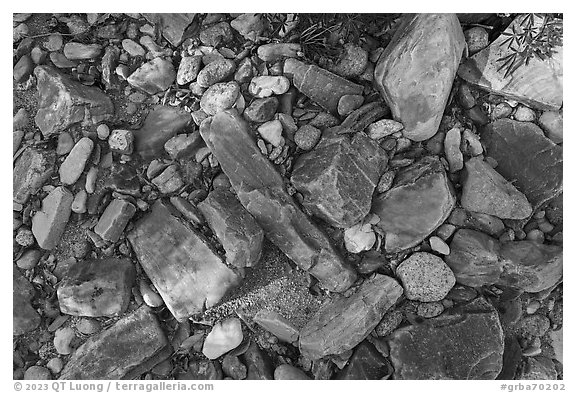 Close up of rocks in dry riverbed, Snake Creek. Great Basin National Park, Nevada, USA.