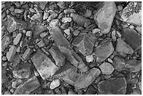 Close up of rocks in dry riverbed, Snake Creek. Great Basin National Park ( black and white)