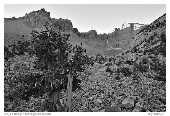 Rock bound cirque of Wheeler Peak, sunrise. Great Basin National Park, Nevada, USA.