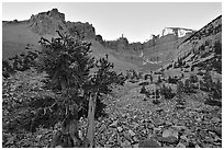 Rock bound cirque of Wheeler Peak, sunrise. Great Basin National Park, Nevada, USA. (black and white)