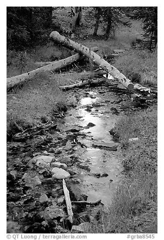 Snake Creek in fall. Great Basin National Park, Nevada, USA.