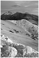 Wheeler Peak and Snake range seen from Mt Washington, morning. Great Basin National Park, Nevada, USA. (black and white)