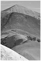 Multi-hued peaks, Snake range seen from Mt Washington, morning. Great Basin National Park ( black and white)