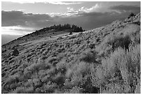 Sage covered slopes at sunset, Snake Range. Great Basin National Park ( black and white)