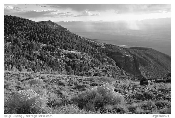 Sage covered slopes and Spring Valley. Great Basin National Park (black and white)