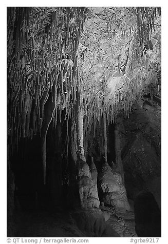 Soda Straws formations in Lehman Cave. Great Basin National Park (black and white)