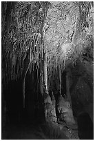 Soda Straws formations in Lehman Cave. Great Basin National Park, Nevada, USA. (black and white)