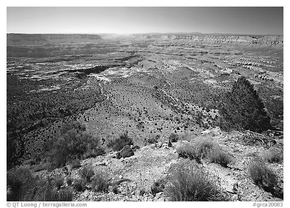 Esplanade from  North Rim, morning. Grand Canyon National Park, Arizona, USA.