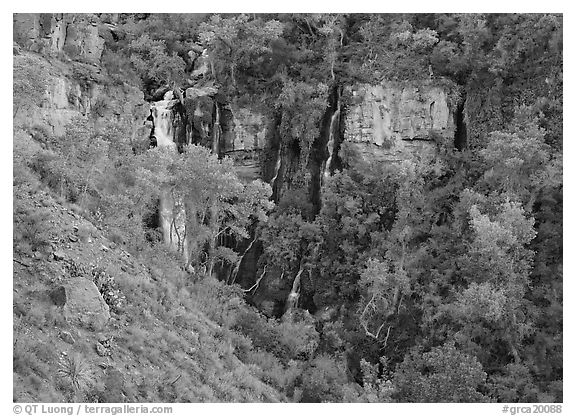 Thunder river lower waterfall, afternoon. Grand Canyon  National Park (black and white)