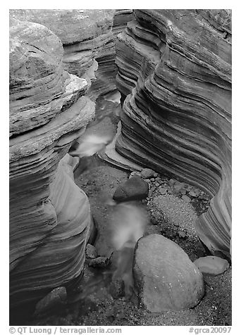 Red sandstone gorge carved by Deer Creek. Grand Canyon National Park (black and white)