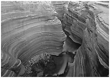 Slot canyon, Deer Creek Narrows. Grand Canyon National Park ( black and white)