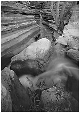 Entrance of Deer Creek Narrows. Grand Canyon National Park, Arizona, USA. (black and white)
