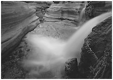 Cascade of Deer Creek. Grand Canyon  National Park ( black and white)