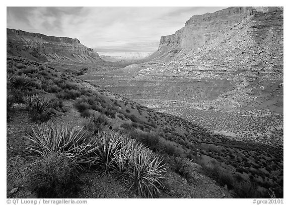 Havasu Canyon, afternoon. Grand Canyon  National Park (black and white)