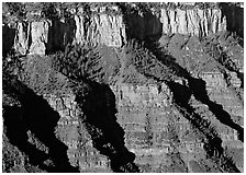 Canyon walls from Bright Angel Point, morning. Grand Canyon  National Park ( black and white)