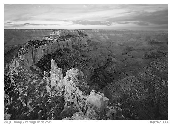 View of Wotans Throne from Cape Royal at sunrise. Grand Canyon  National Park (black and white)