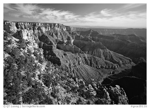 Rim near Cape Royal. Grand Canyon National Park (black and white)