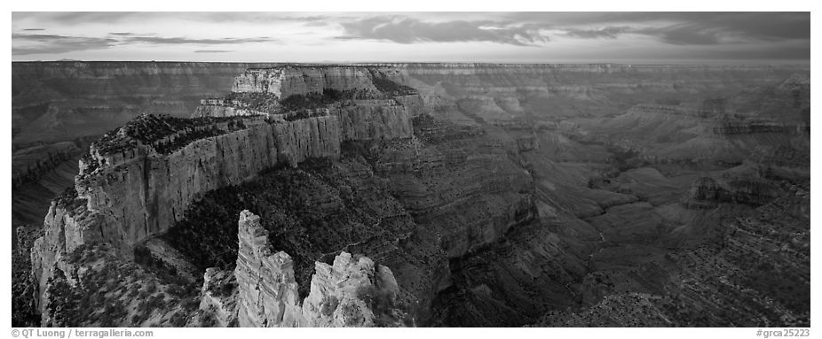 Wotan's Throne at sunrise. Grand Canyon  National Park (black and white)