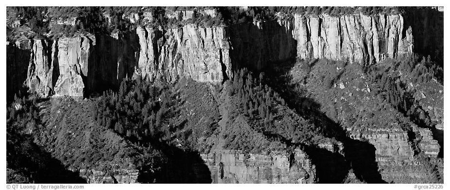 Canyon rim. Grand Canyon National Park (black and white)