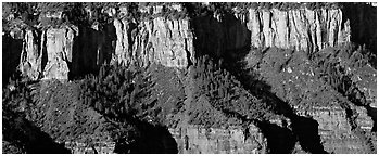 Canyon rim. Grand Canyon  National Park (Panoramic black and white)