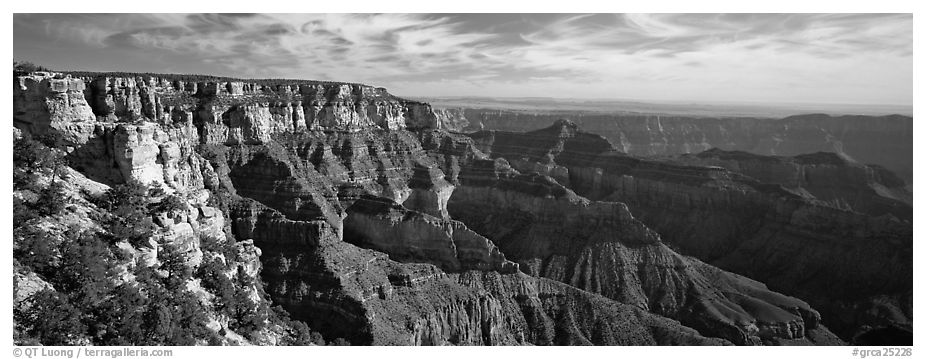 Canyon scenery from Cape Royal. Grand Canyon  National Park (black and white)