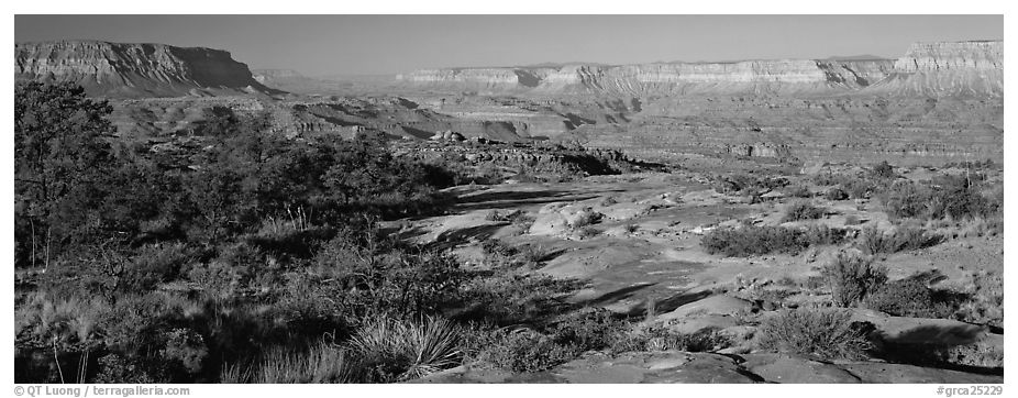 Esplanade Plateau scenery. Grand Canyon  National Park (black and white)