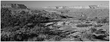 Esplanade Plateau scenery. Grand Canyon  National Park (Panoramic black and white)