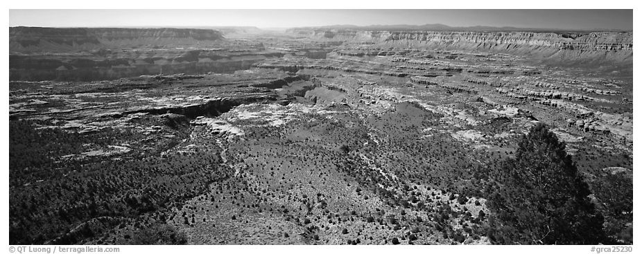 Plateau nested inside canyon. Grand Canyon National Park (black and white)