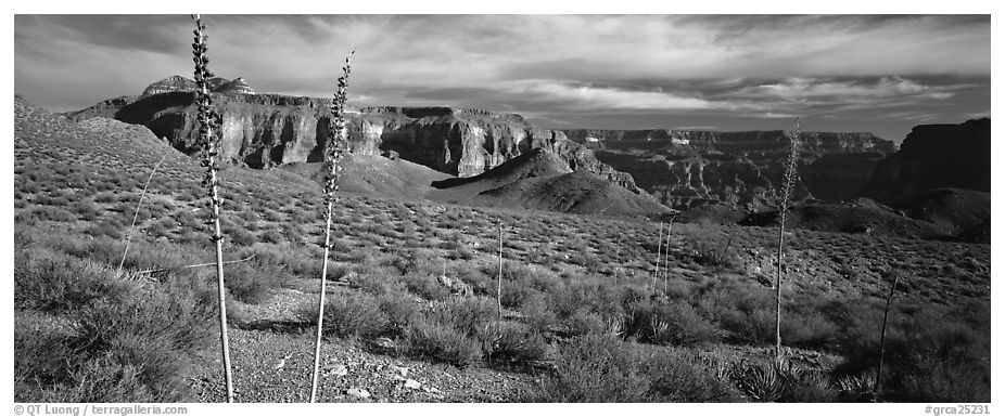 Inner Canyon scenery. Grand Canyon  National Park (black and white)