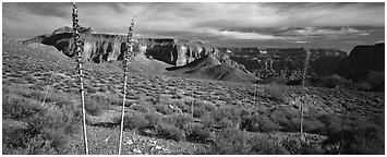 Inner Canyon scenery. Grand Canyon  National Park (Panoramic black and white)