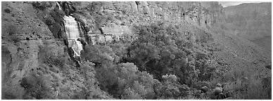 Thunder Spring waterfall. Grand Canyon  National Park (Panoramic black and white)