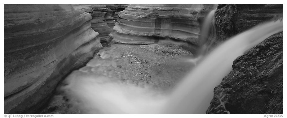 Deer Creek cascading into gorge. Grand Canyon  National Park (black and white)