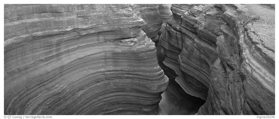Sculptured rock in slot canyon. Grand Canyon National Park (black and white)