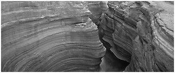 Sculptured rock in slot canyon. Grand Canyon  National Park (Panoramic black and white)