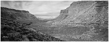 Havasu Canyon. Grand Canyon National Park (Panoramic black and white)