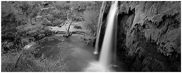 Havasu Fall and turquoise pool. Grand Canyon  National Park (Panoramic black and white)