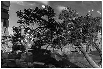 Watchtower gift shop window reflexion. Grand Canyon National Park, Arizona, USA. (black and white)