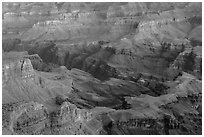 Colorado river gorge and buttes at dawn. Grand Canyon National Park, Arizona, USA. (black and white)