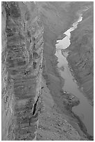 Cliffs and Colorado River, Toroweap. Grand Canyon National Park, Arizona, USA. (black and white)