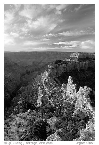 Wotan's Throne seen from Cape Royal, early morning. Grand Canyon National Park (black and white)