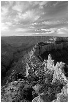 Wotan's Throne seen from Cape Royal, early morning. Grand Canyon National Park ( black and white)